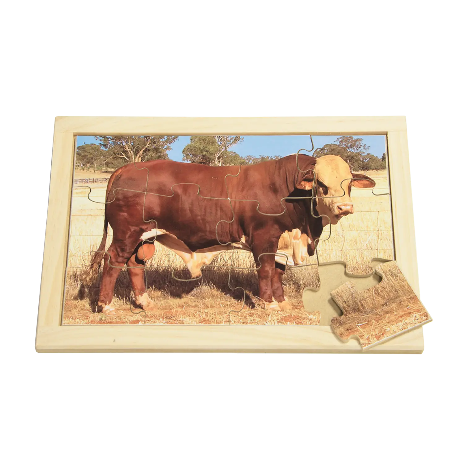 Bull Farm Puzzle