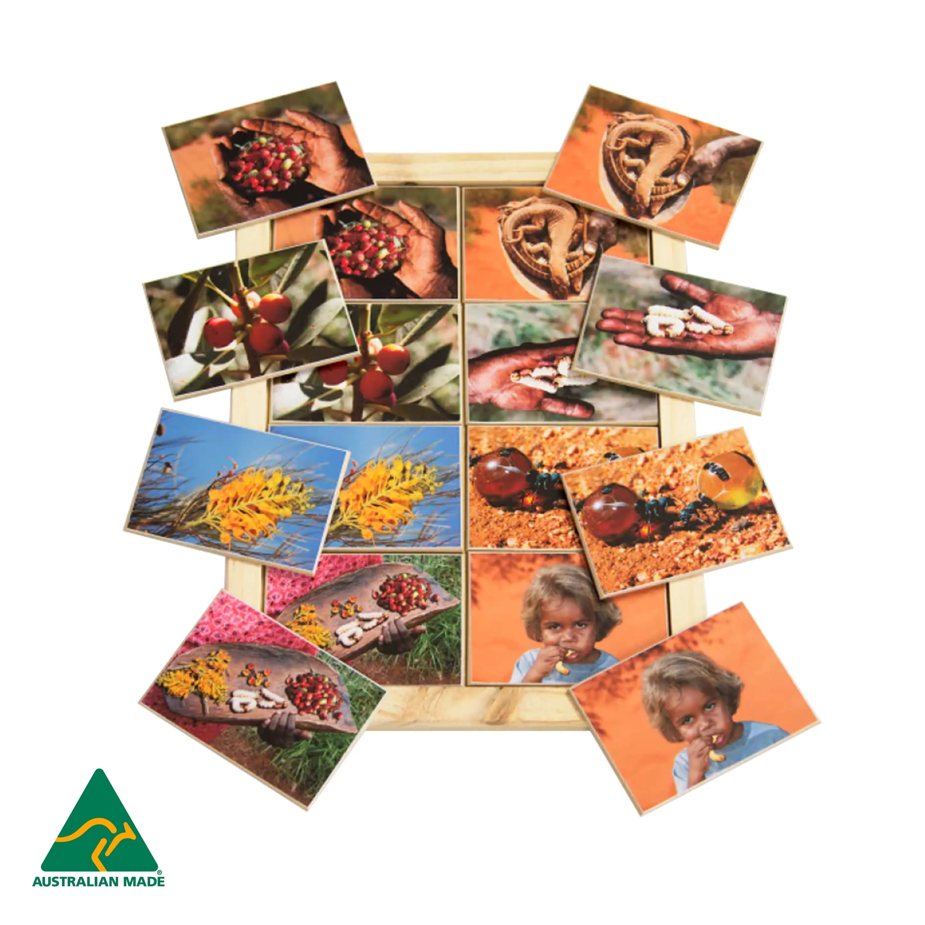 Bush Tucker Memory Game