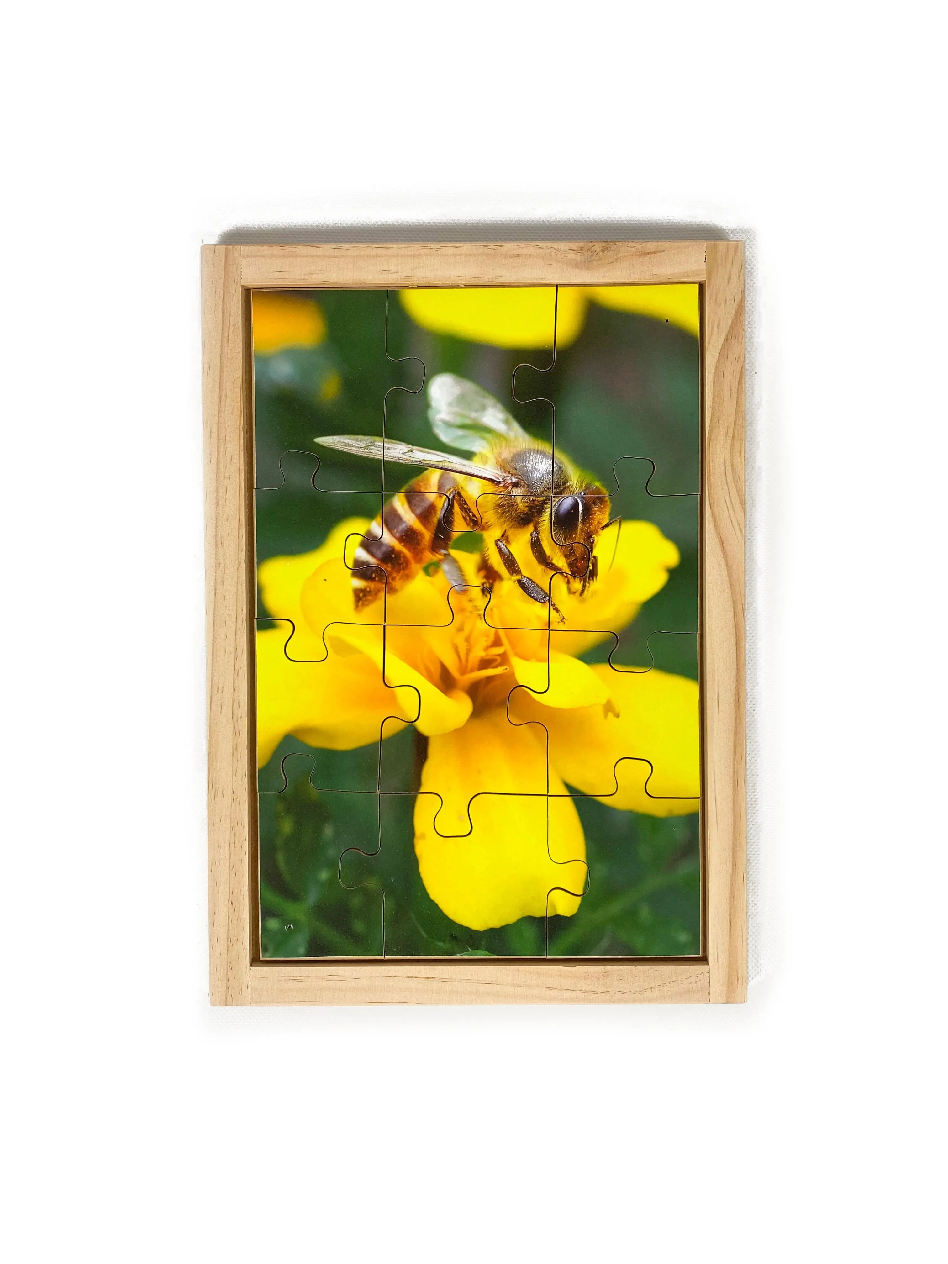 Garden Bugs Puzzles with FREE Posters - Image 2
