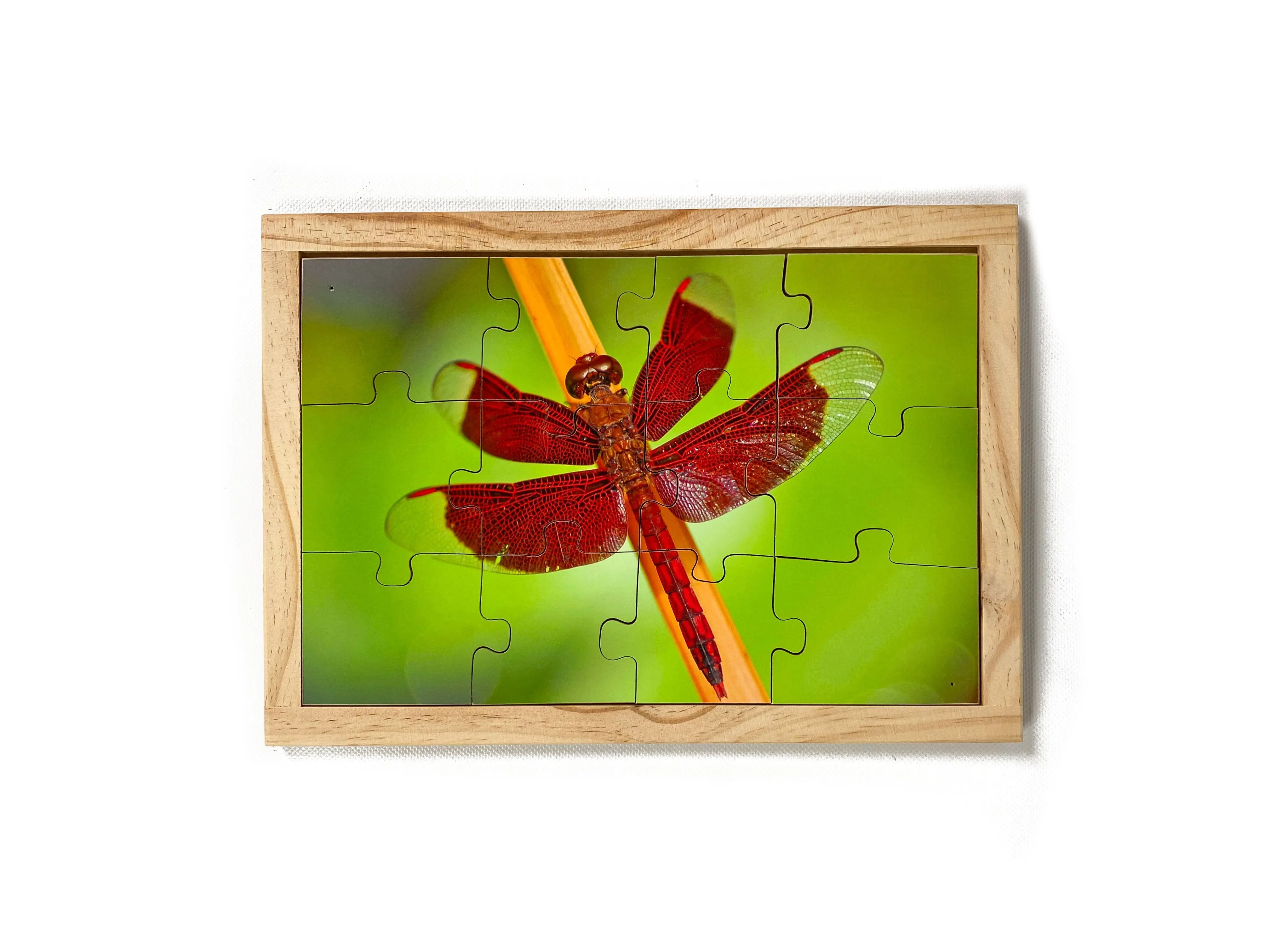 Garden Bugs Puzzles with FREE Posters - Image 4