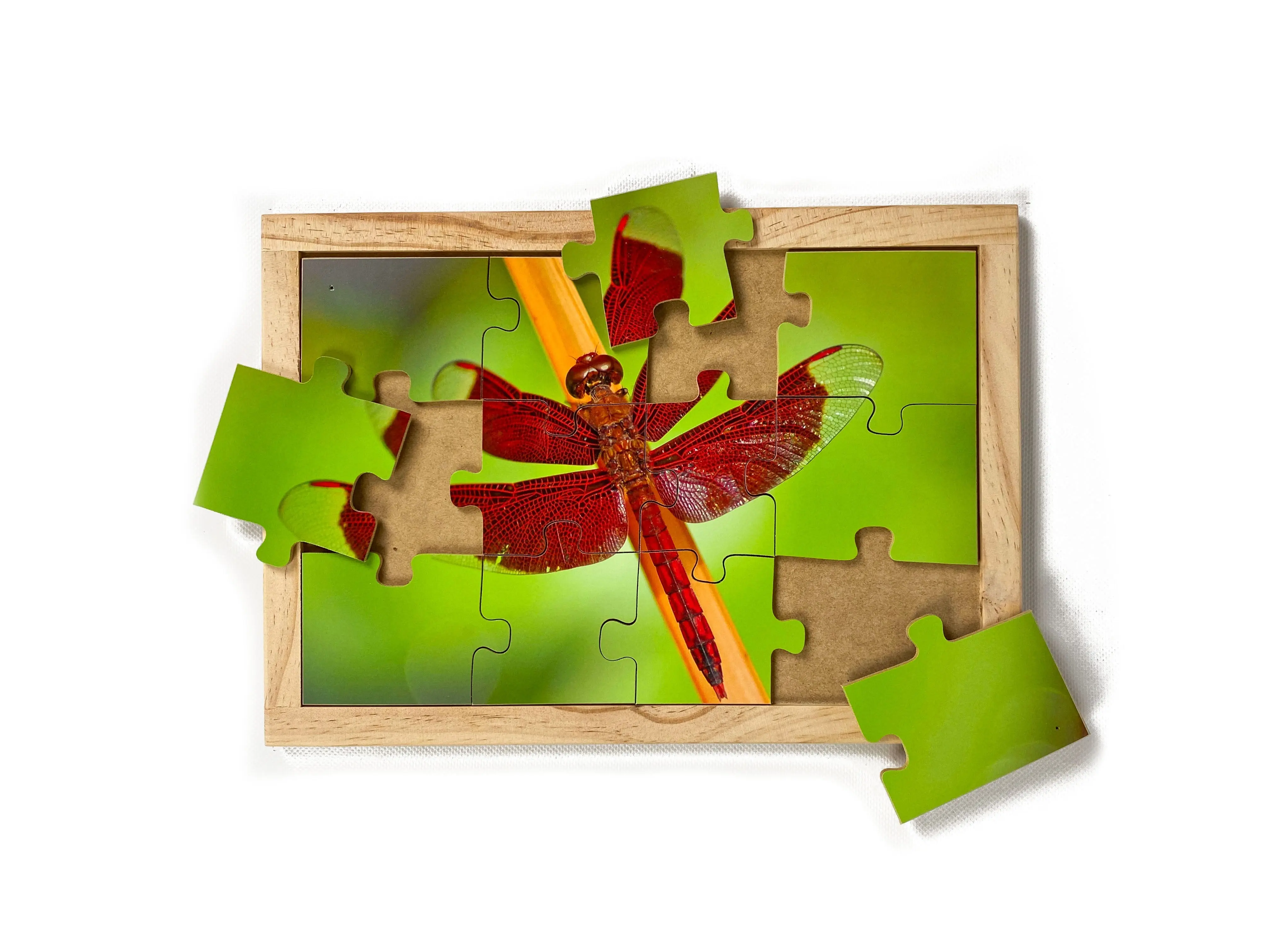 Garden Bugs Puzzles with FREE Posters - Image 5