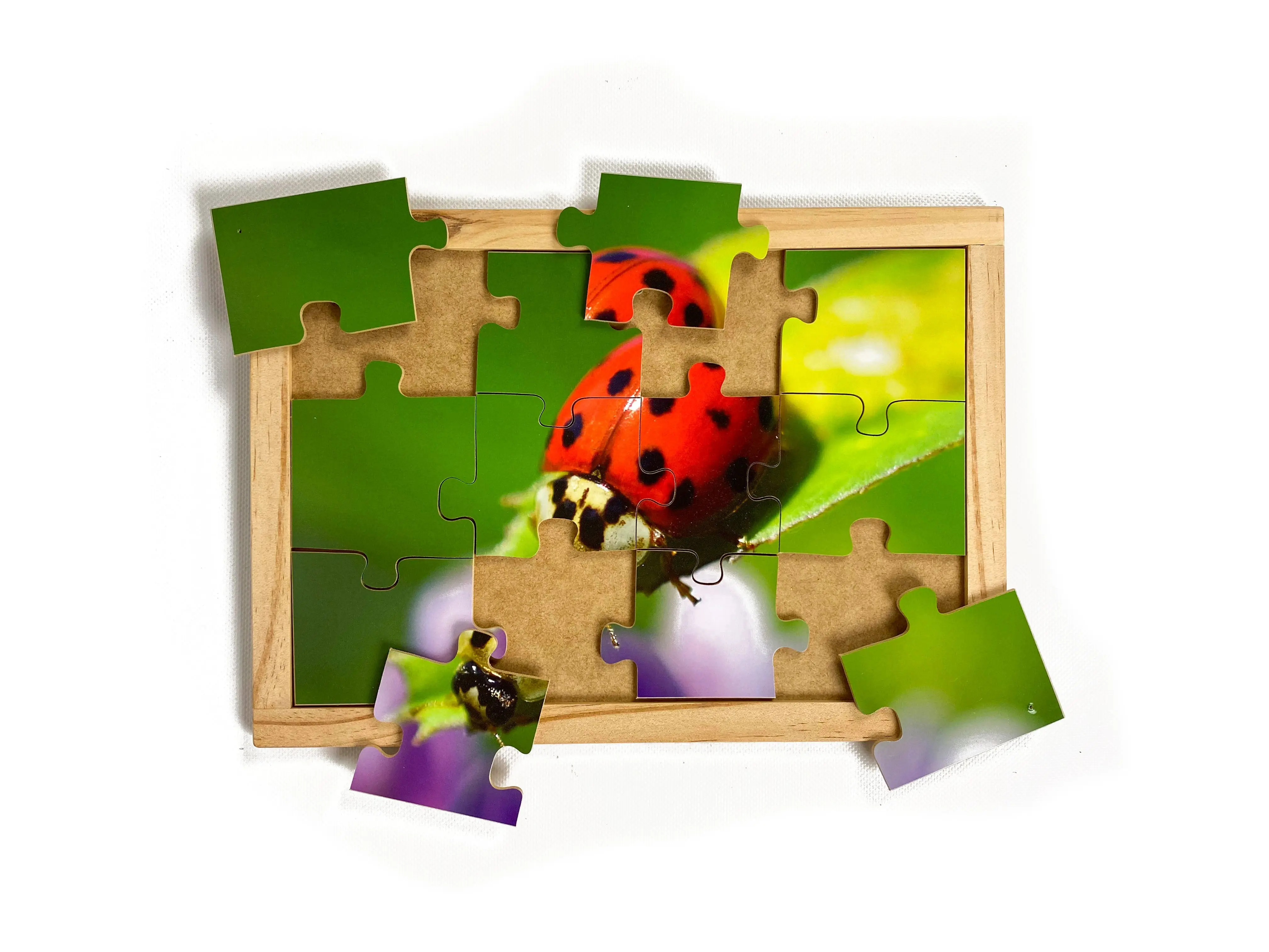 Garden Bugs Puzzles with FREE Posters - Image 7