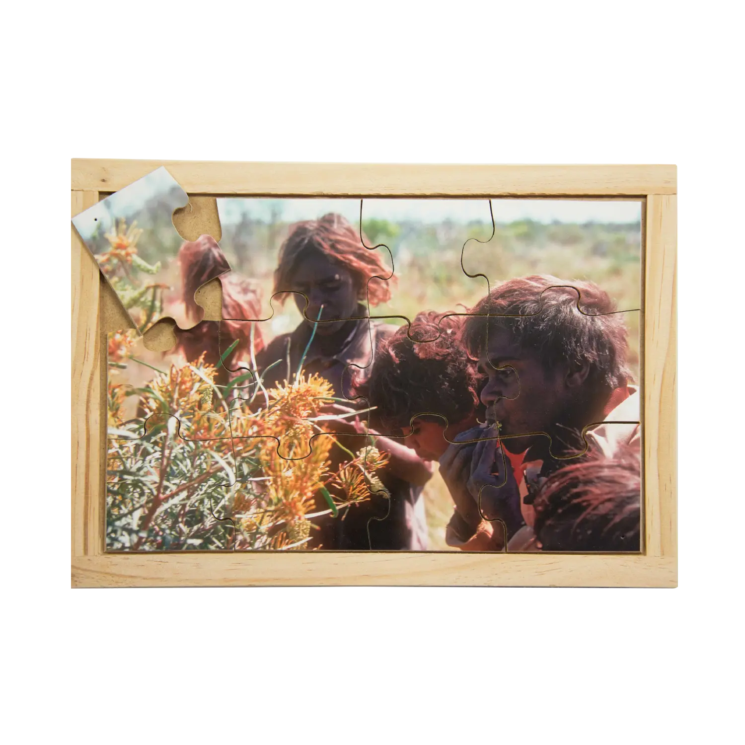 Honey Grevillia Puzzle