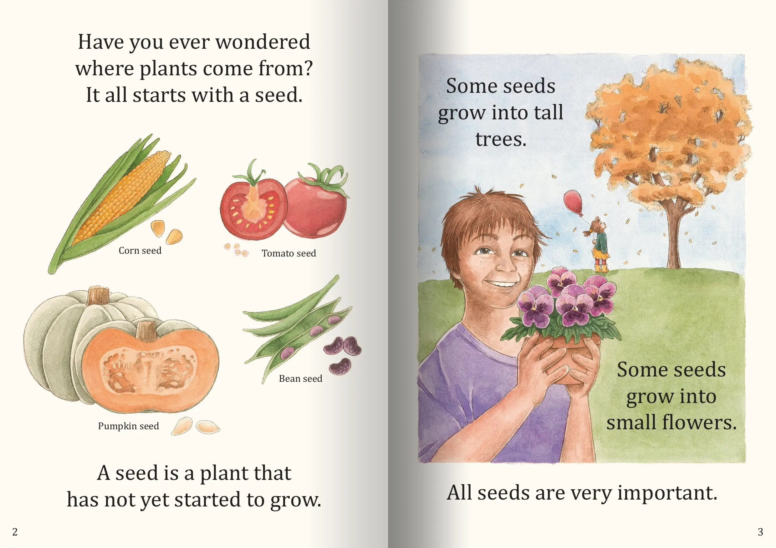 How Seeds Grow Big Book - Image 2