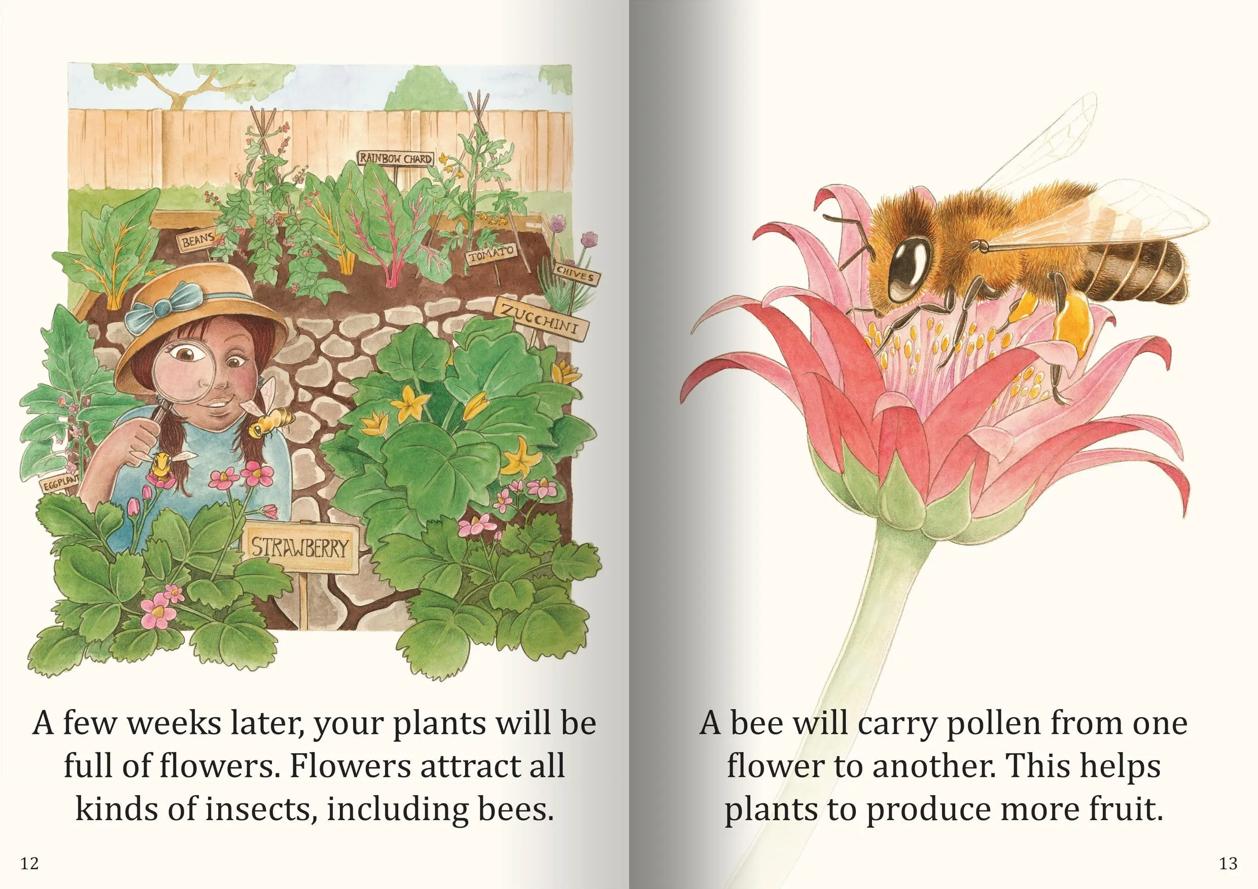 How Seeds Grow Big Book - Image 3