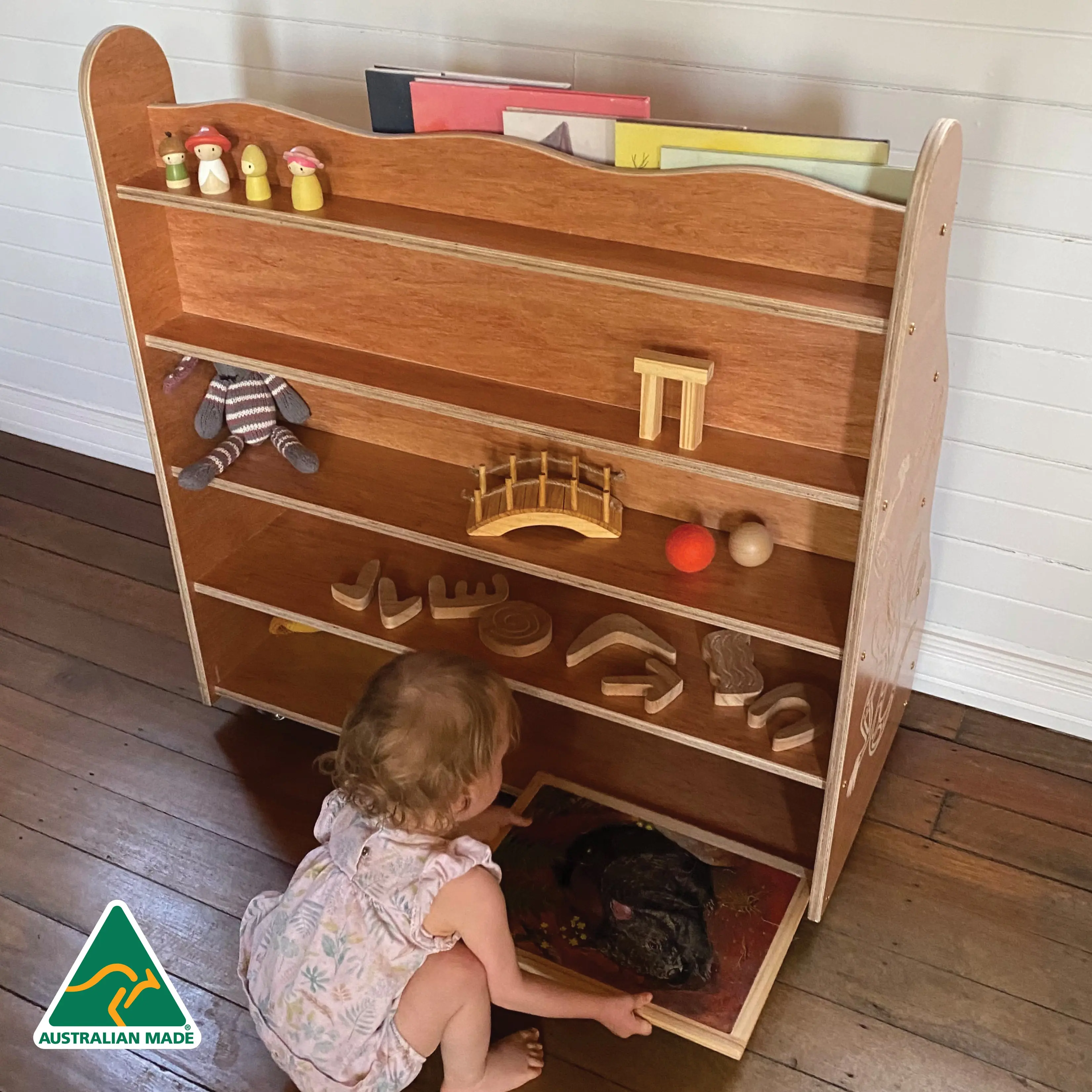 Indigenous Goanna Book Shelf - Image 7