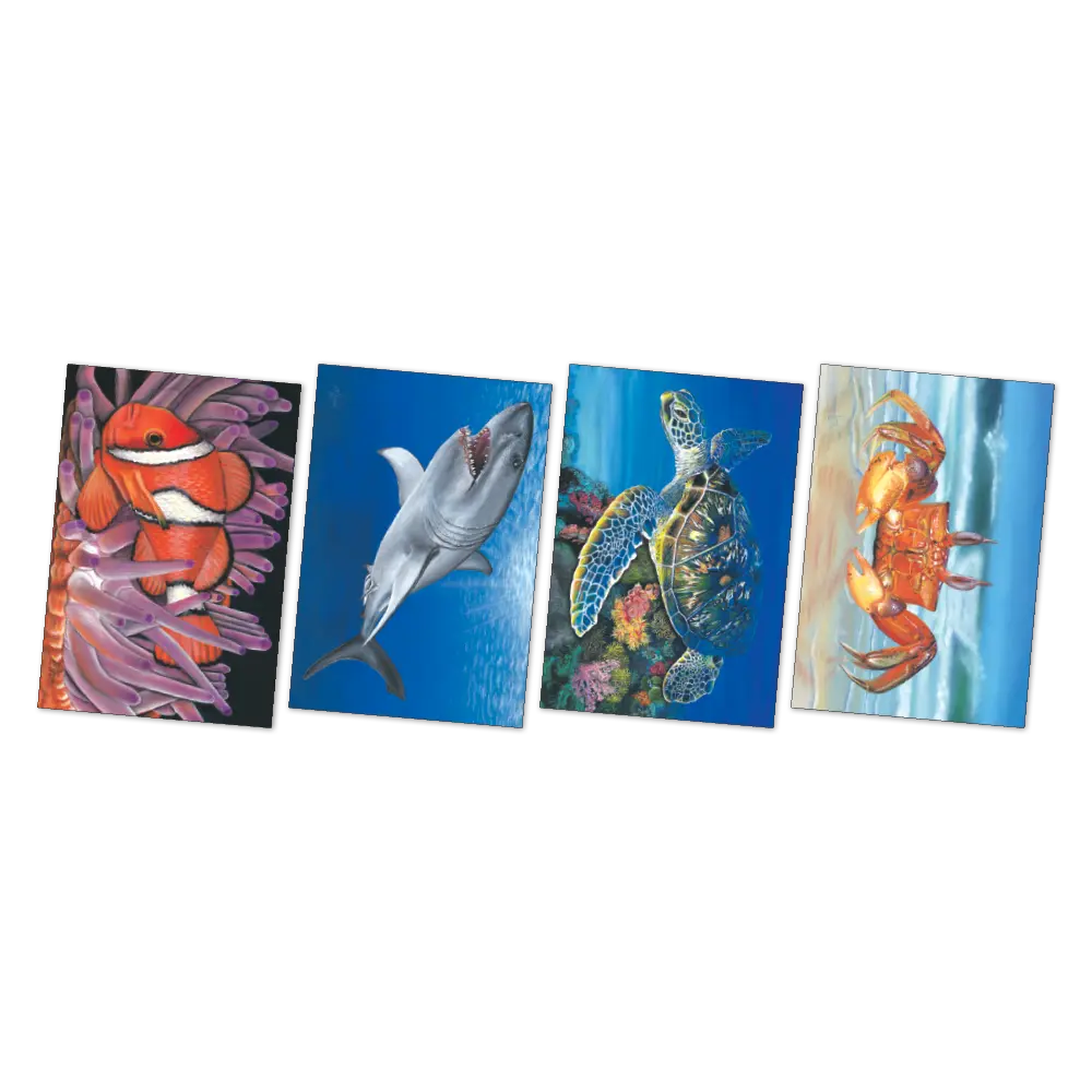 Large Sea Creatures Poster Pack - Image 2