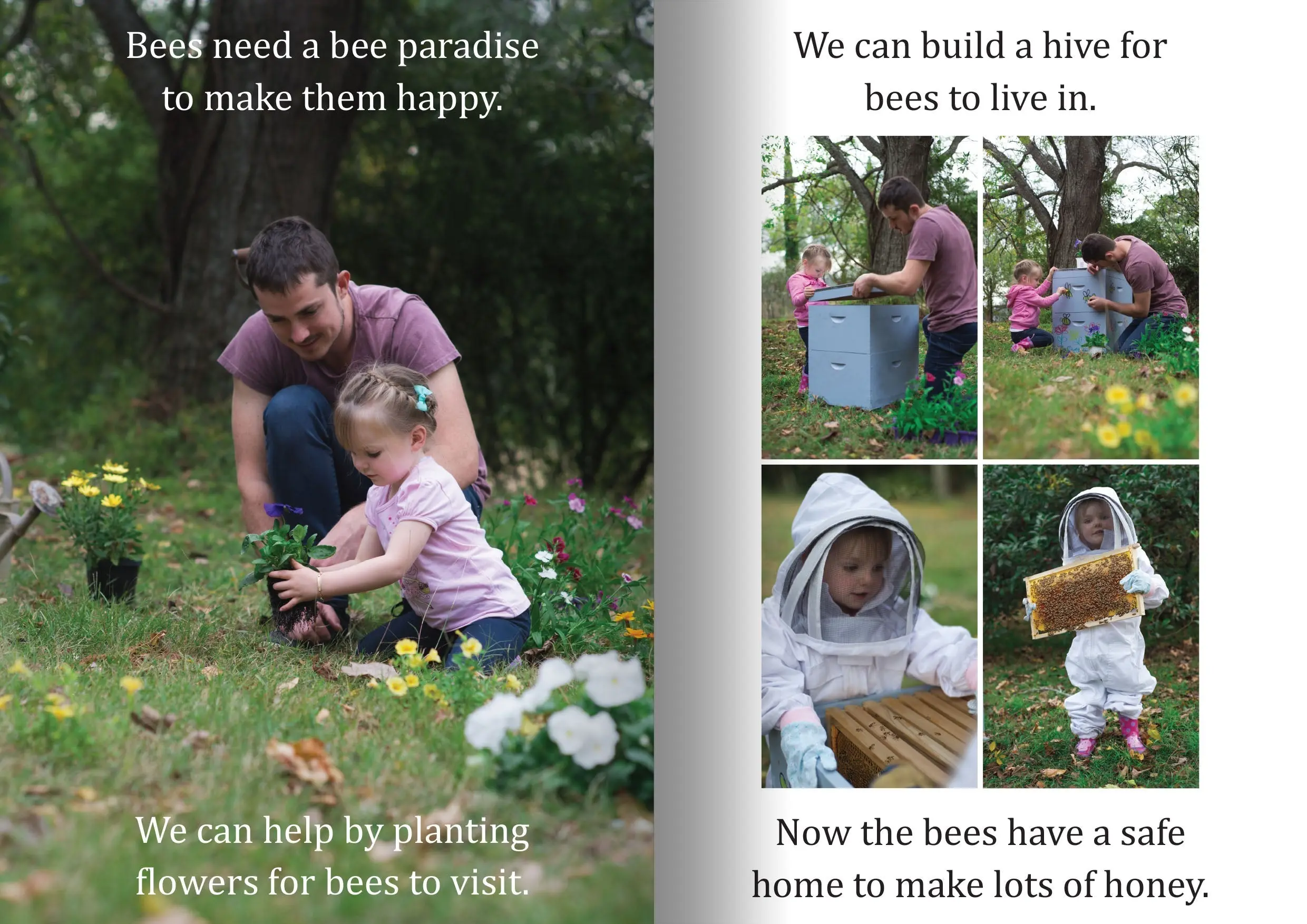 Let's Learn about Bees Big Book - Image 3