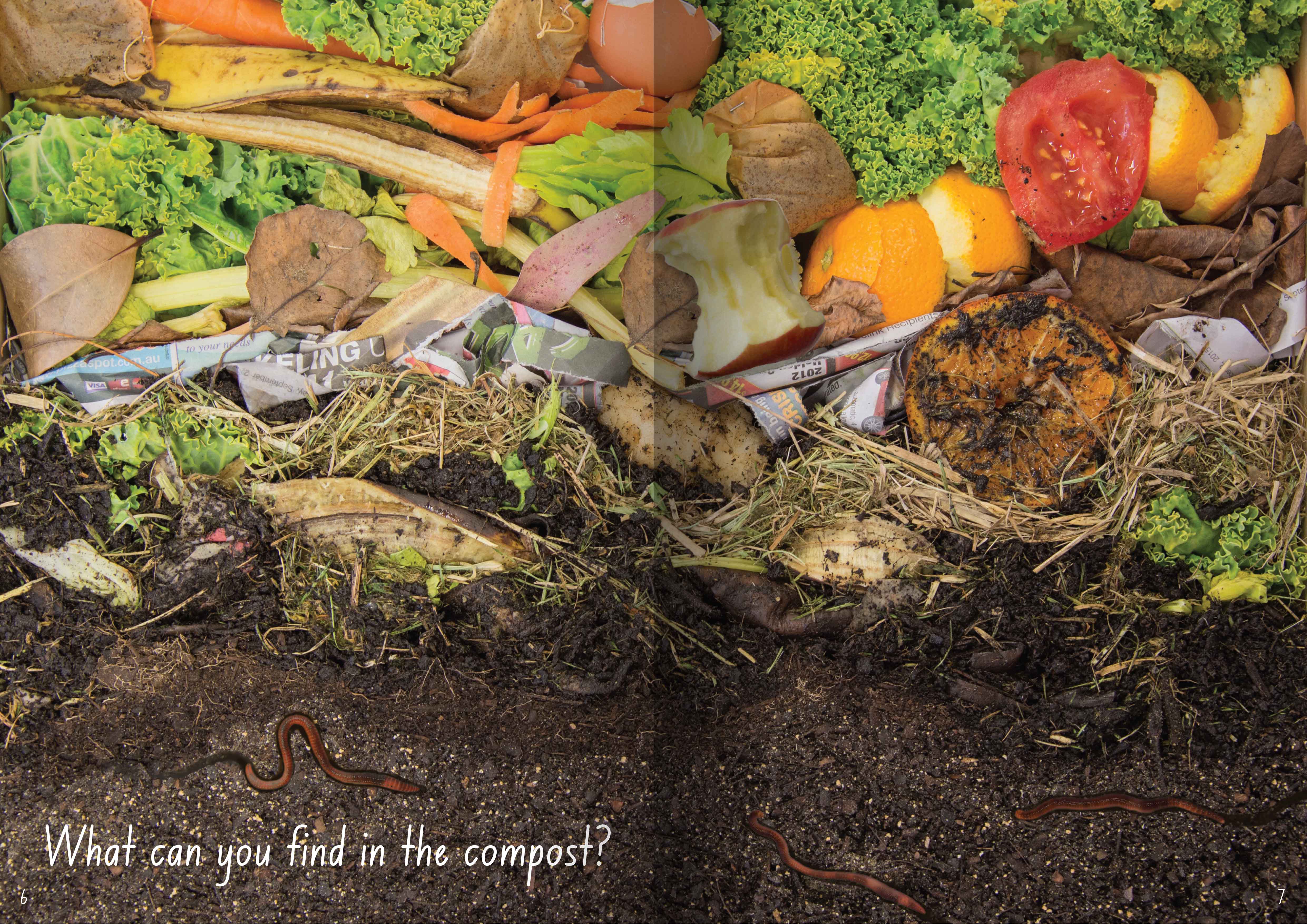 Let's Learn about Compost Big Book - Image 3