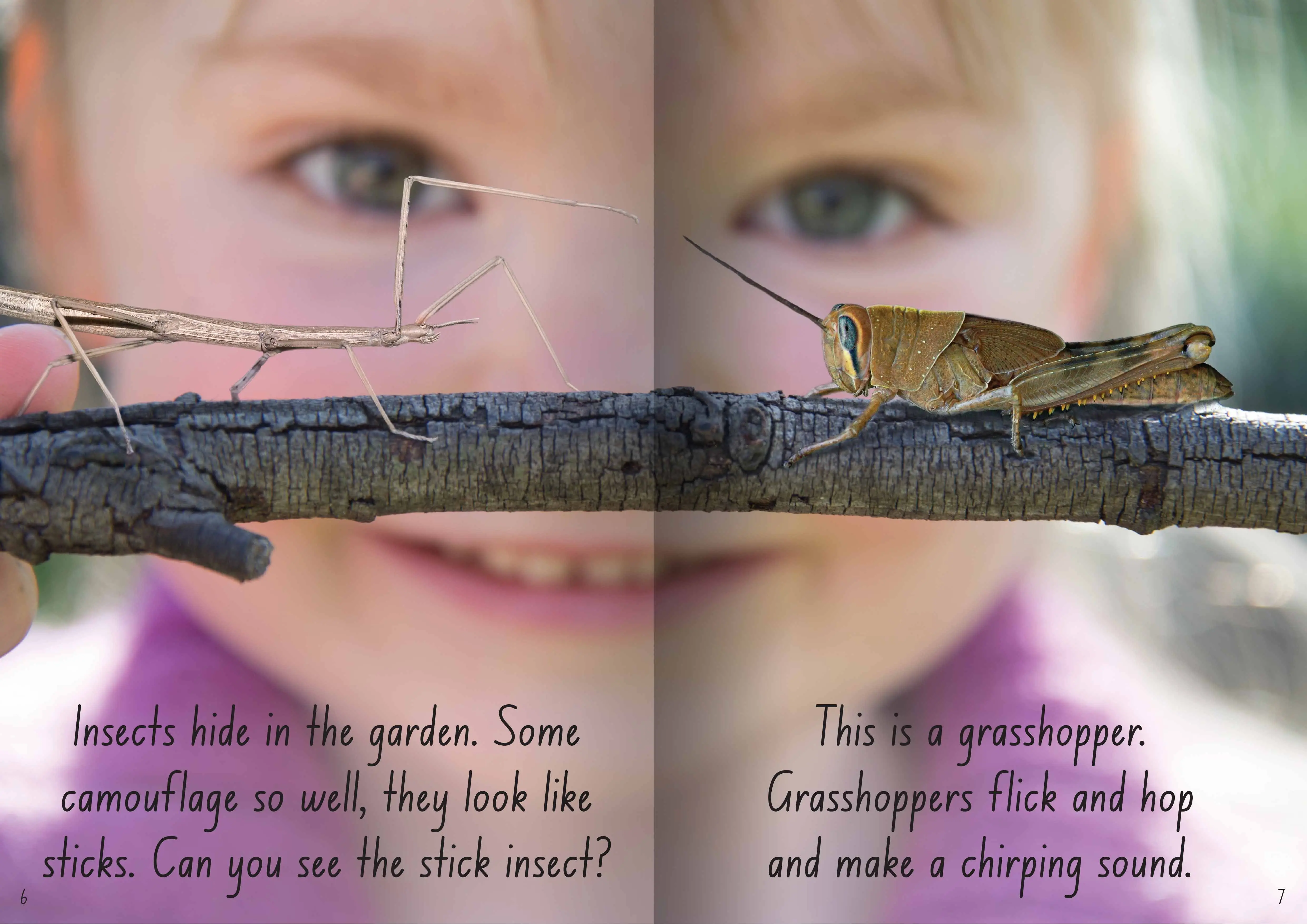 Let's Learn about Insects Big Book - Image 3