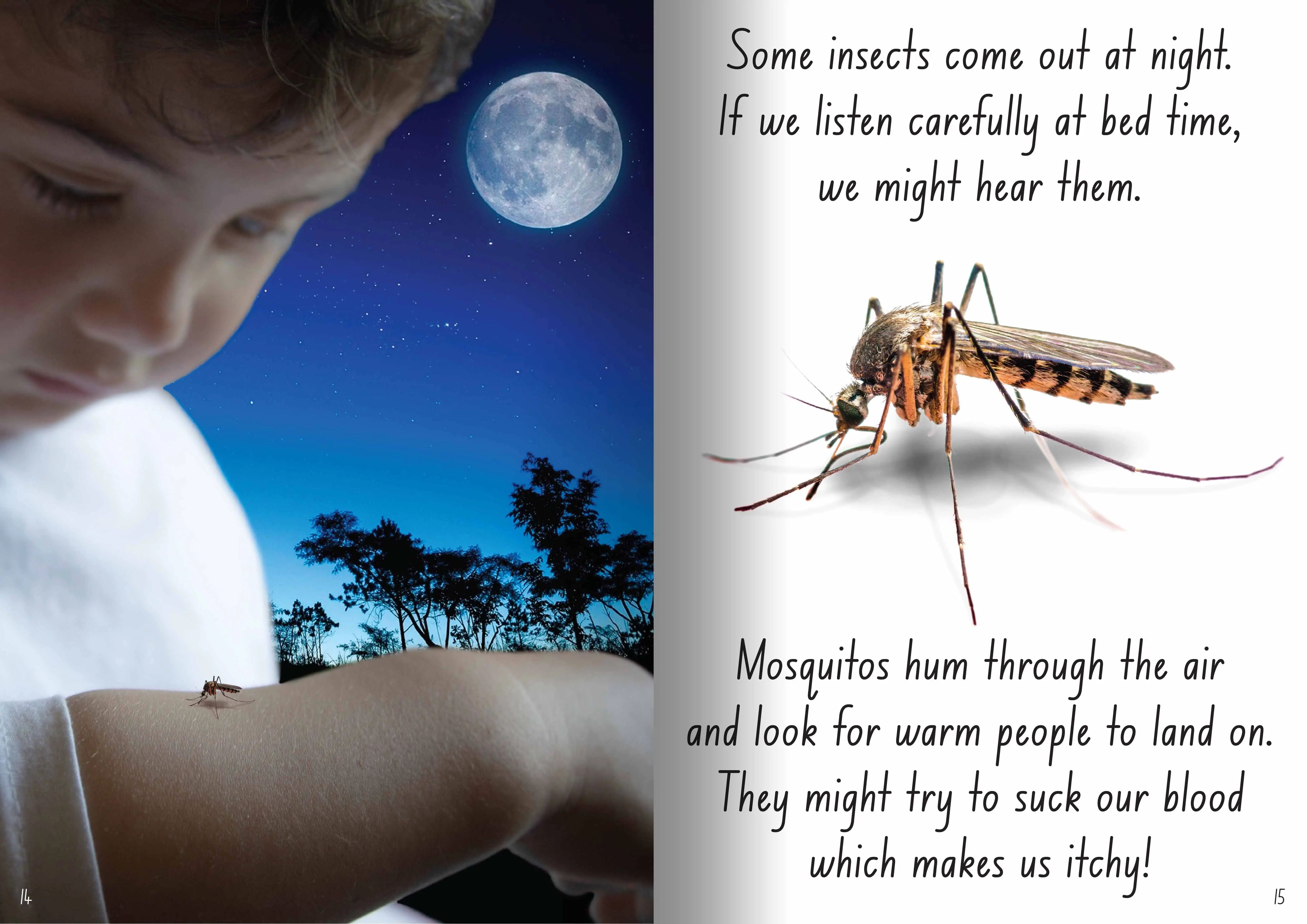 Let's Learn about Insects Big Book - Image 4