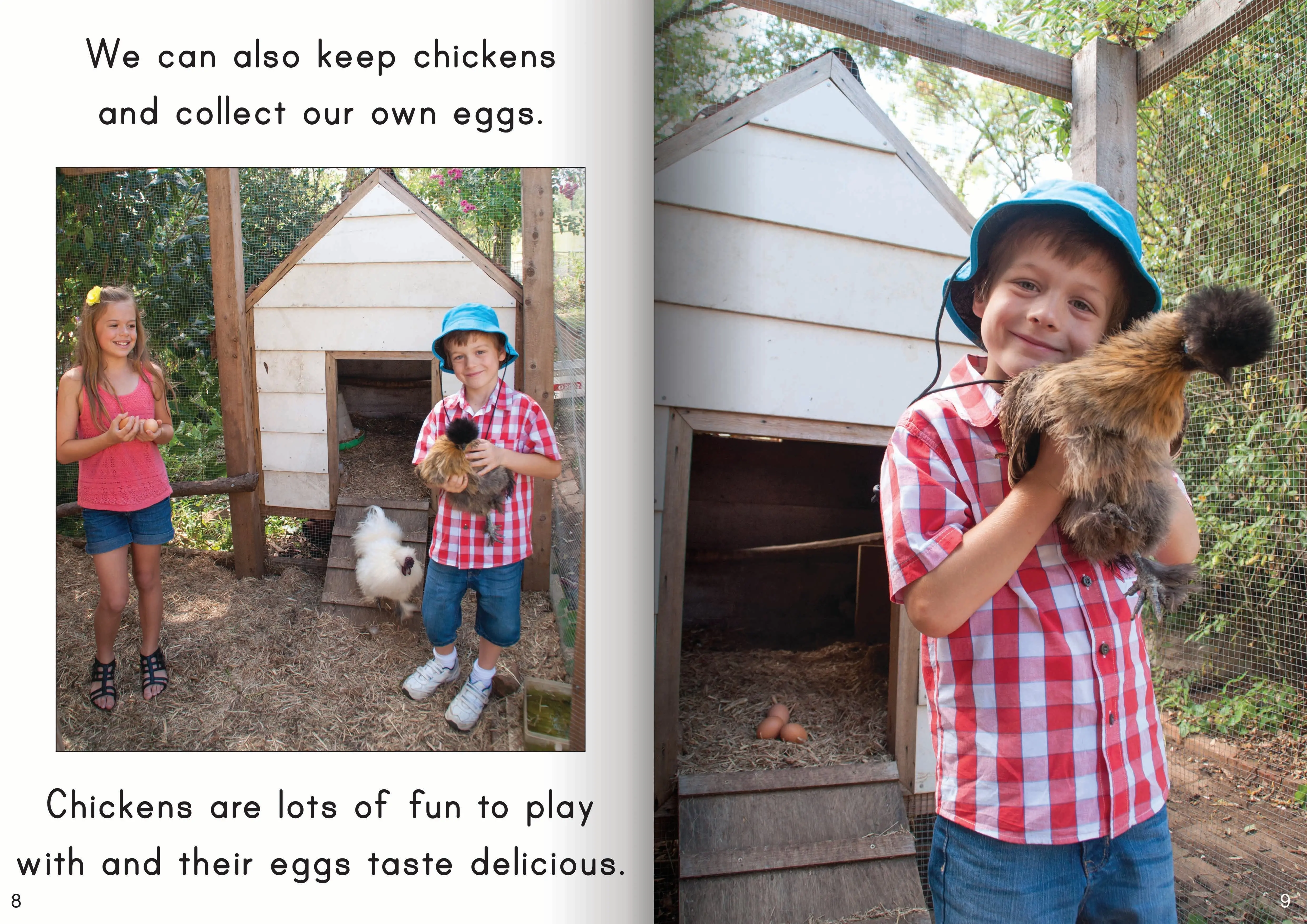 Let's Learn about Sustainable Living Big Book - Image 3