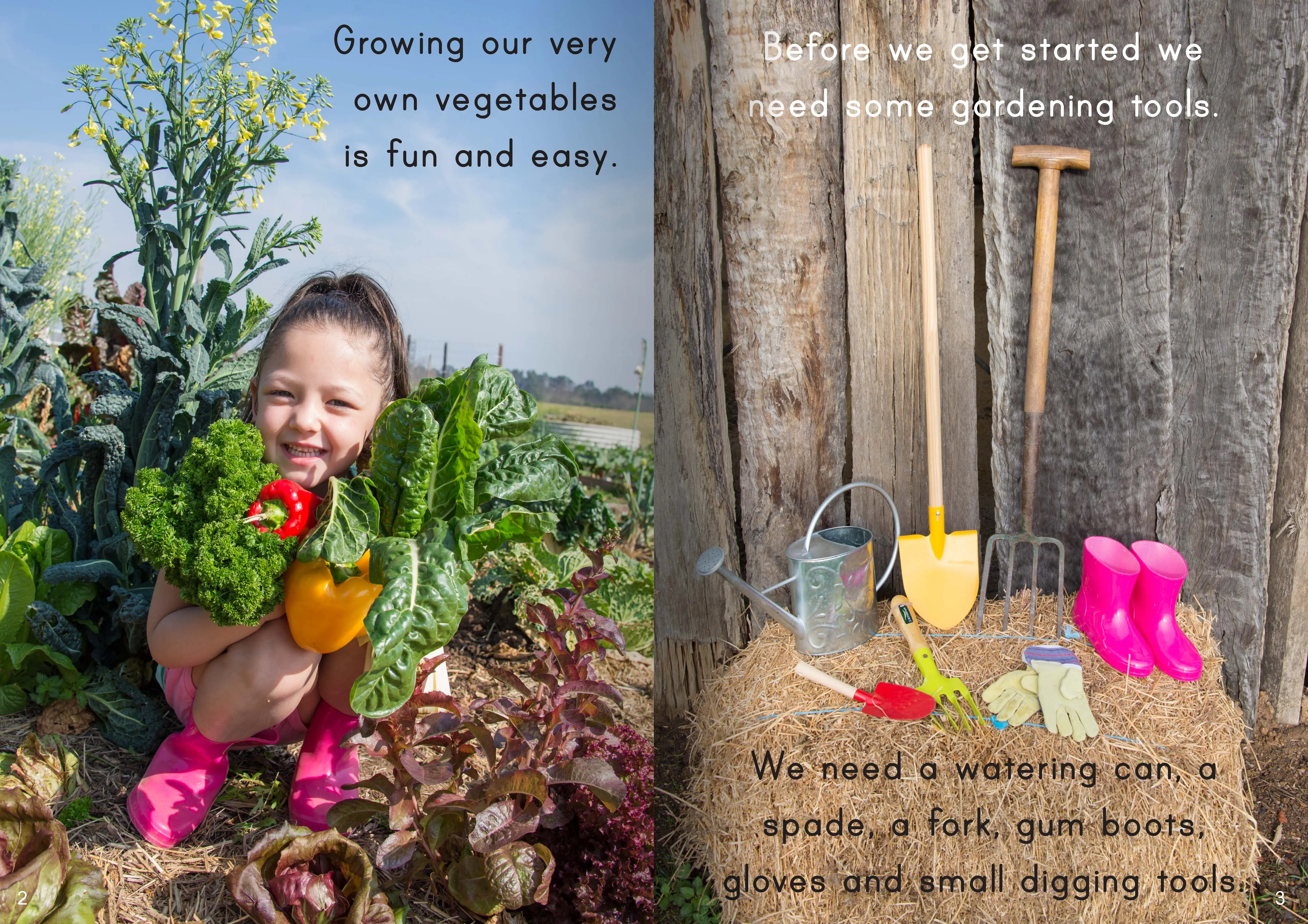 Let's Learn about Vegetable Gardens Big Book - Image 2