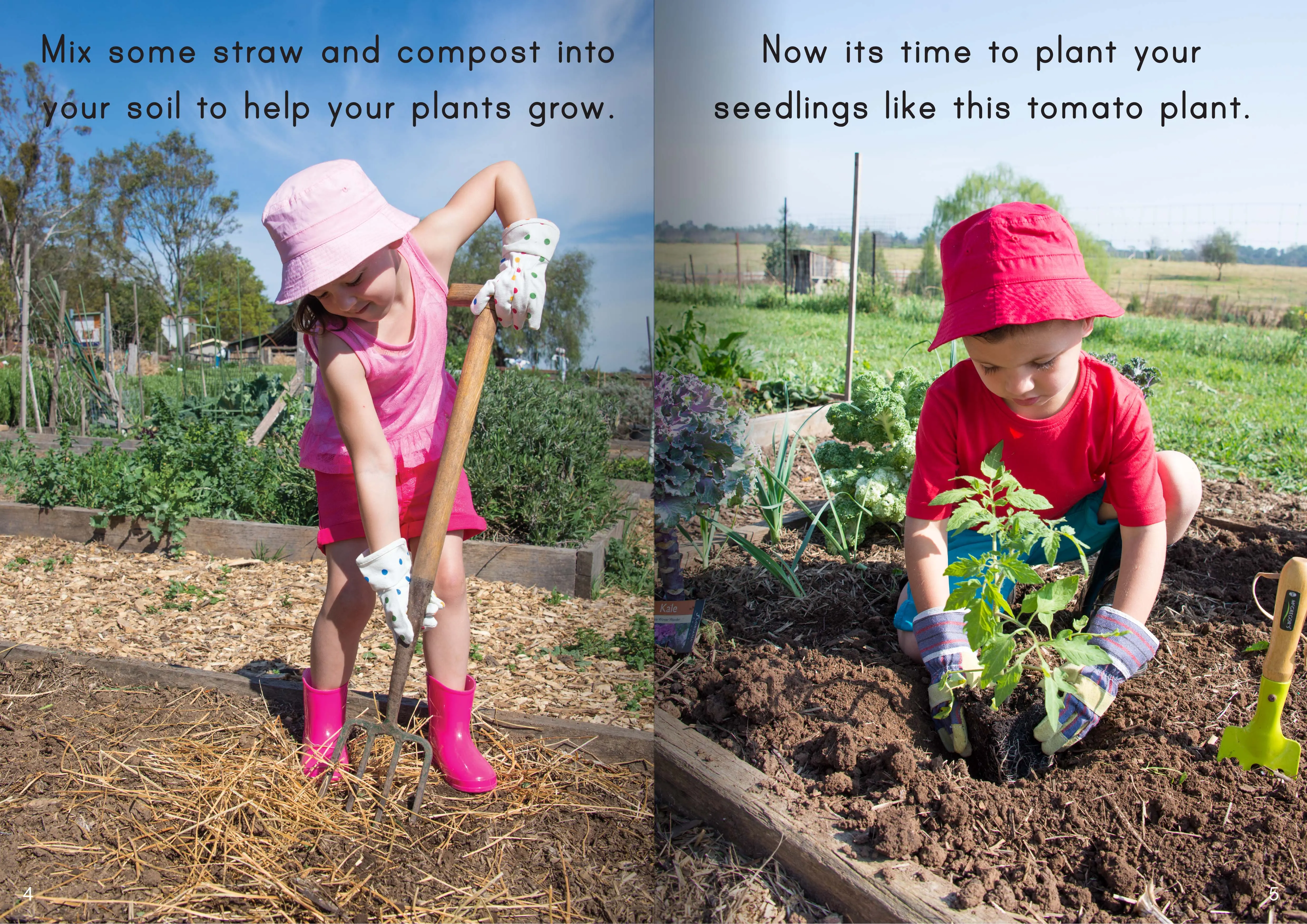 Let's Learn about Vegetable Gardens Big Book - Image 3