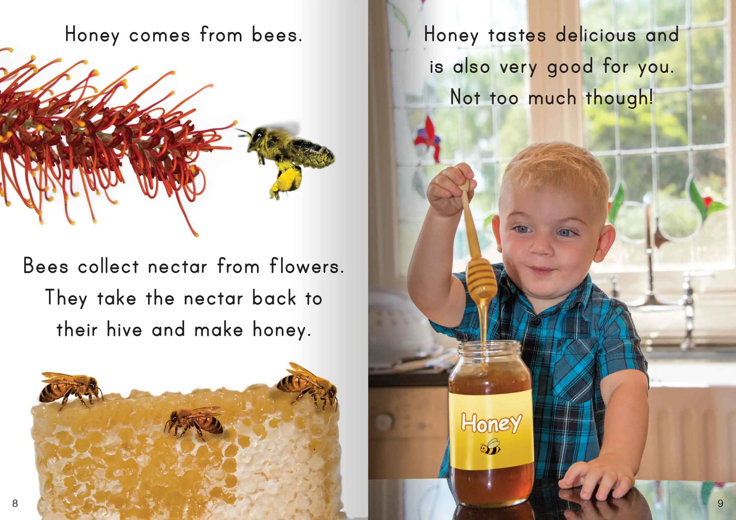 Let's Learn about where our food comes from Big Book - Image 3