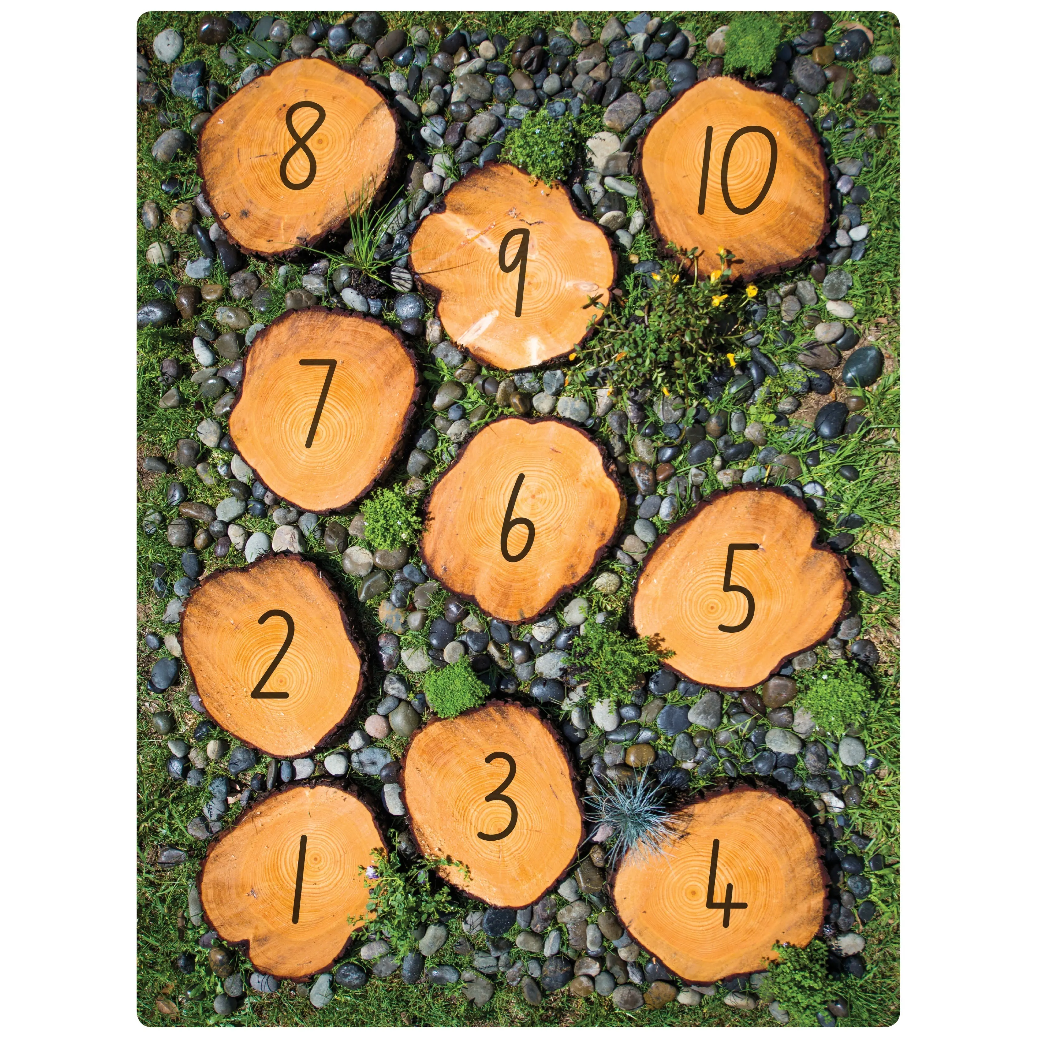Nature Numbers Rug - Image 3