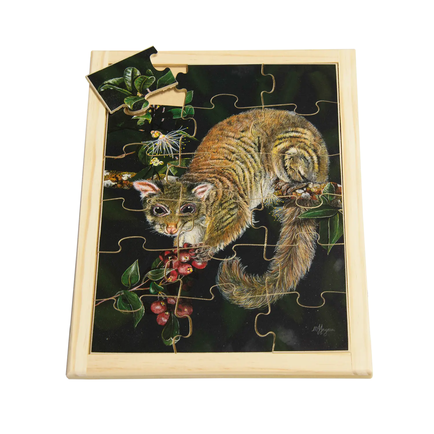 Possum Puzzle