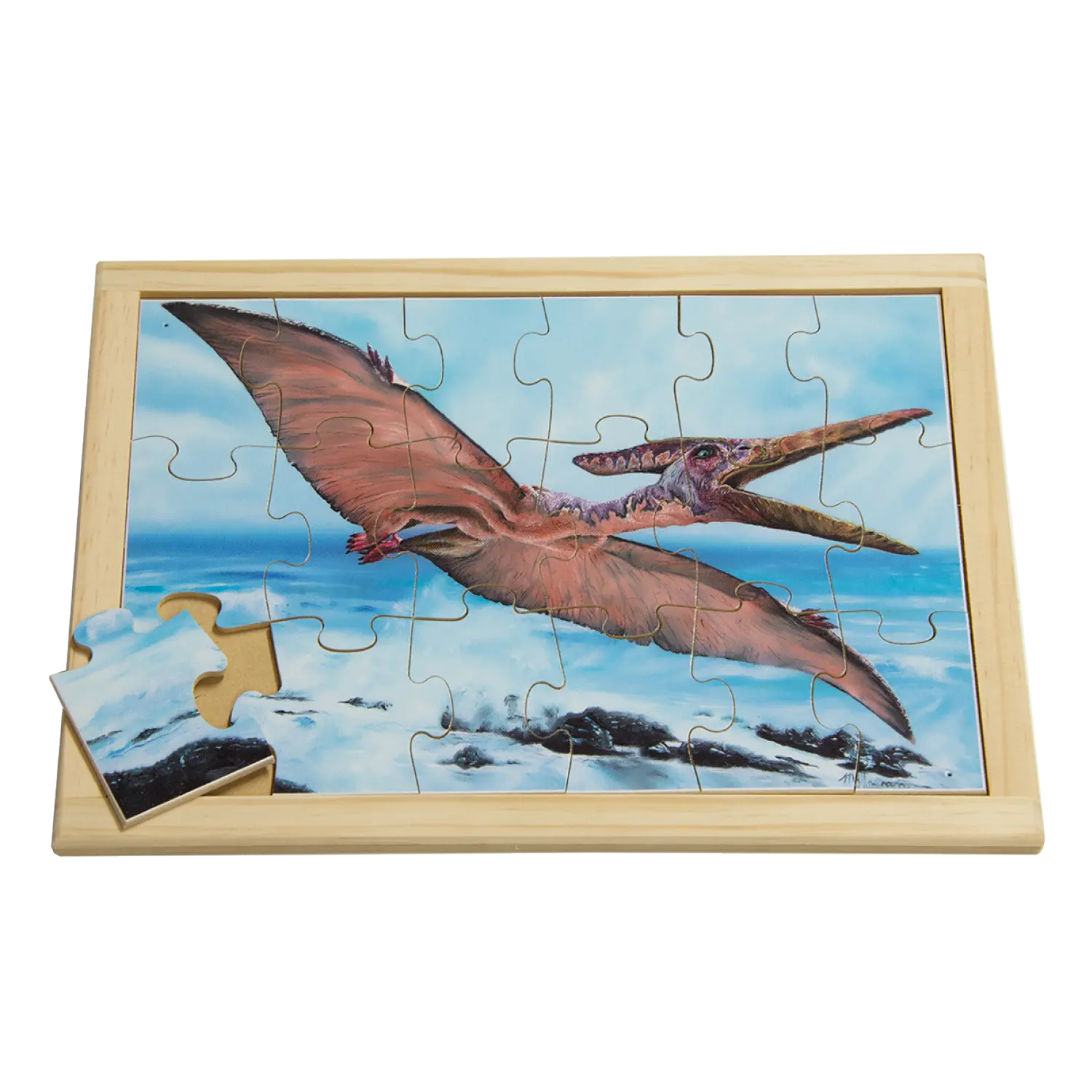 Pteranodon Puzzle