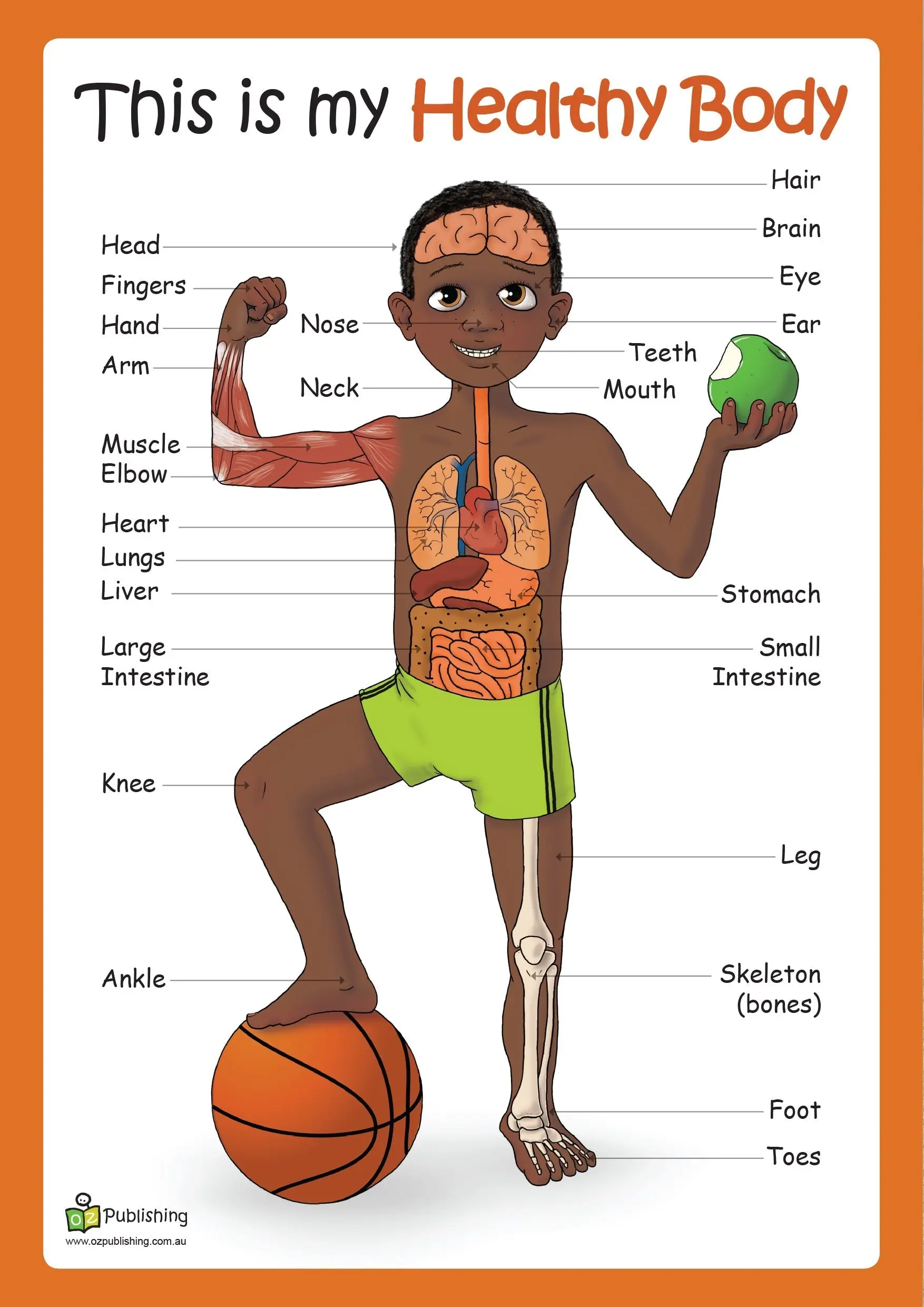This is my healthy body Big Book with FREE Large anatomy poster! - Image 2