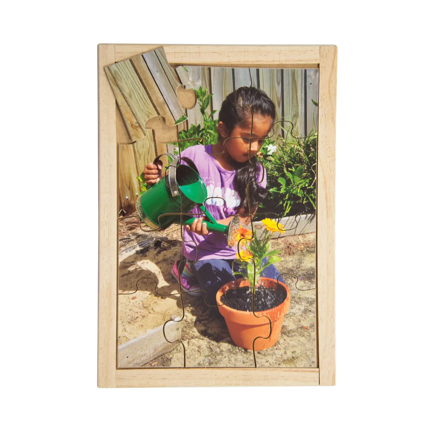 Watering Flower Puzzle